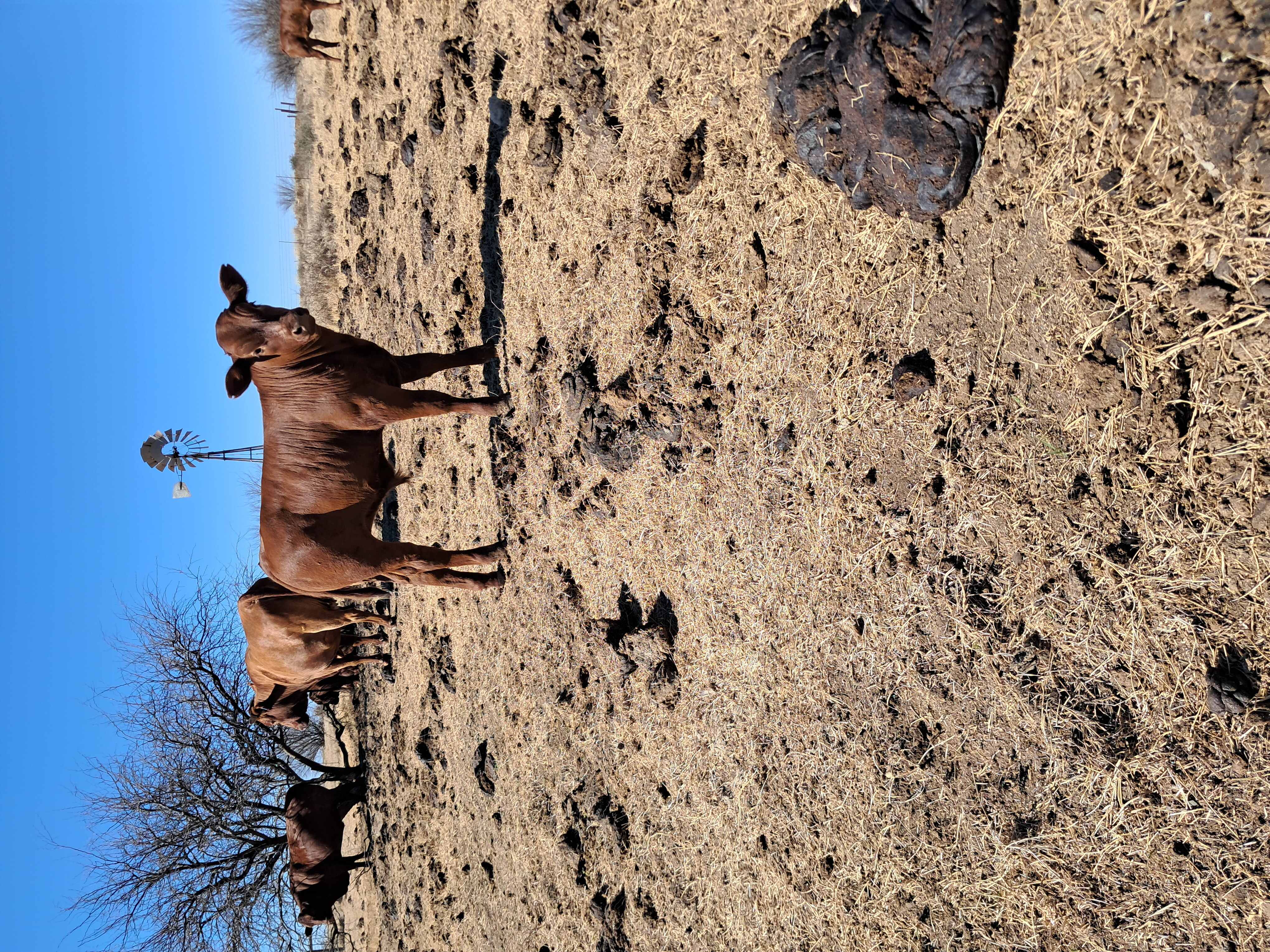 20250821_105051 reduced 3